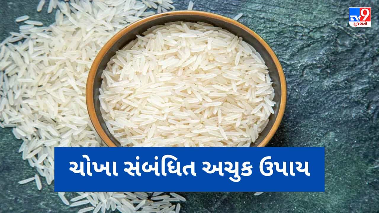 Rice Astro Remedies: અજમાવો ચોખાના આ અચુક ઉપાય, નોકરી-વ્યવસાયમાં રહેશે ફાયદો