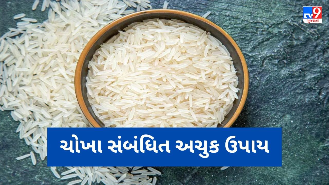 Rice Astro Remedies: અજમાવો ચોખાના આ અચુક ઉપાય, નોકરી-વ્યવસાયમાં રહેશે ફાયદો