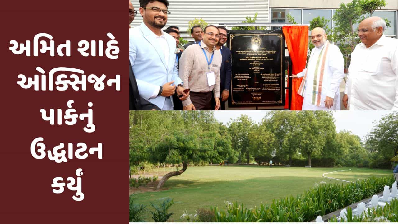 Ahmedabad : કેન્દ્રીય ગૃહ મંત્રી અમિત શાહે ઓક્સિજન પાર્કનું ઉદ્ધાટન કર્યું, 12 હજારથી વધુ વૃક્ષો ઉછેરાયા