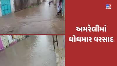 Gujarat Rain: અમરેલીના બગસરામાં જુના વાઘણીયા ગામમાં ધોધમાર વરસાદ, રસ્તાઓ પર નદીની જેમ પાણી વહ્યુ, જુઓ Video
