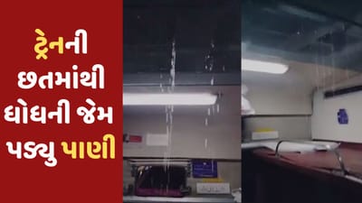 Viral Video: મુંબઈ-ઈન્દોર વચ્ચે ચાલતી અવંતિકા એક્સપ્રેસ ટ્રેનની છતમાંથી ધોધની જેમ પડવા લાગ્યું પાણી, મુસાફરો થયા પરેશાન