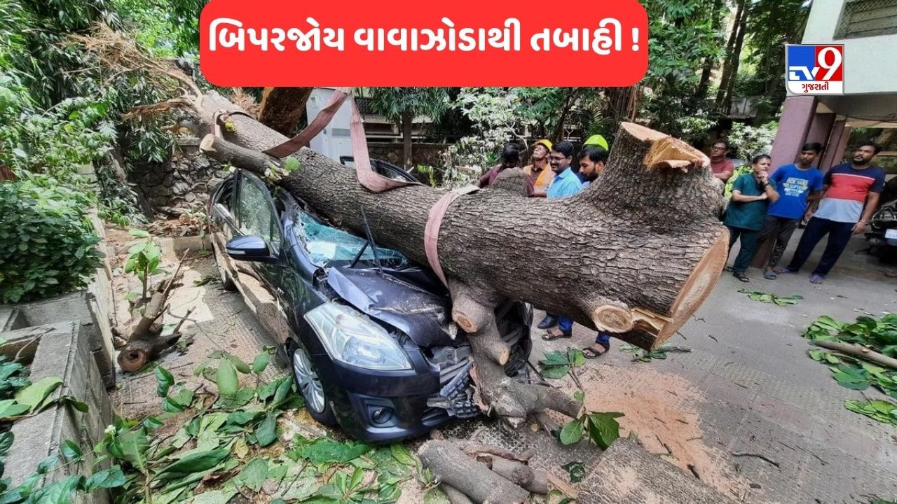 Cyclone Biparjoy: બિપરજોય વાવાઝોડાના તાંડવ વચ્ચે અસંખ્ય વૃક્ષોનો ખુરદો, મકાનોના છાપરા ઉડ્યા, જુઓ નુક્સાની વેરતા VIDEO