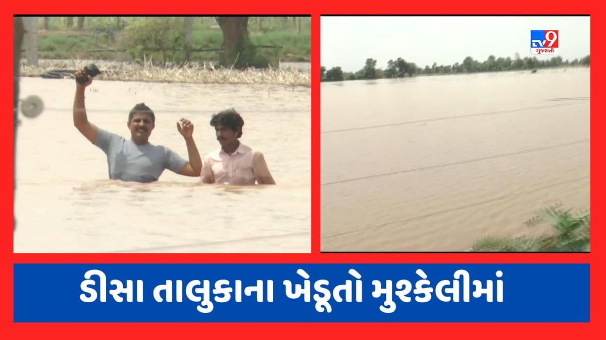 બનાસકાંઠાના આ ગામમાં બિપરજોય વાવાઝોડા બાદ હજુ સુધી નથી ઓસર્યા પાણી, આગામી બે સિઝનની ખેતી નિષ્ફળ જવાની ભીતિ બનાસકાંઠાના આ ગામમાં બિપરજોય વાવાઝોડા બાદ હજુ સુધી નથી ઓસર્યા પાણી, આગામી બે સિઝનની ખેતી નિષ્ફળ જવાની ભીતિ