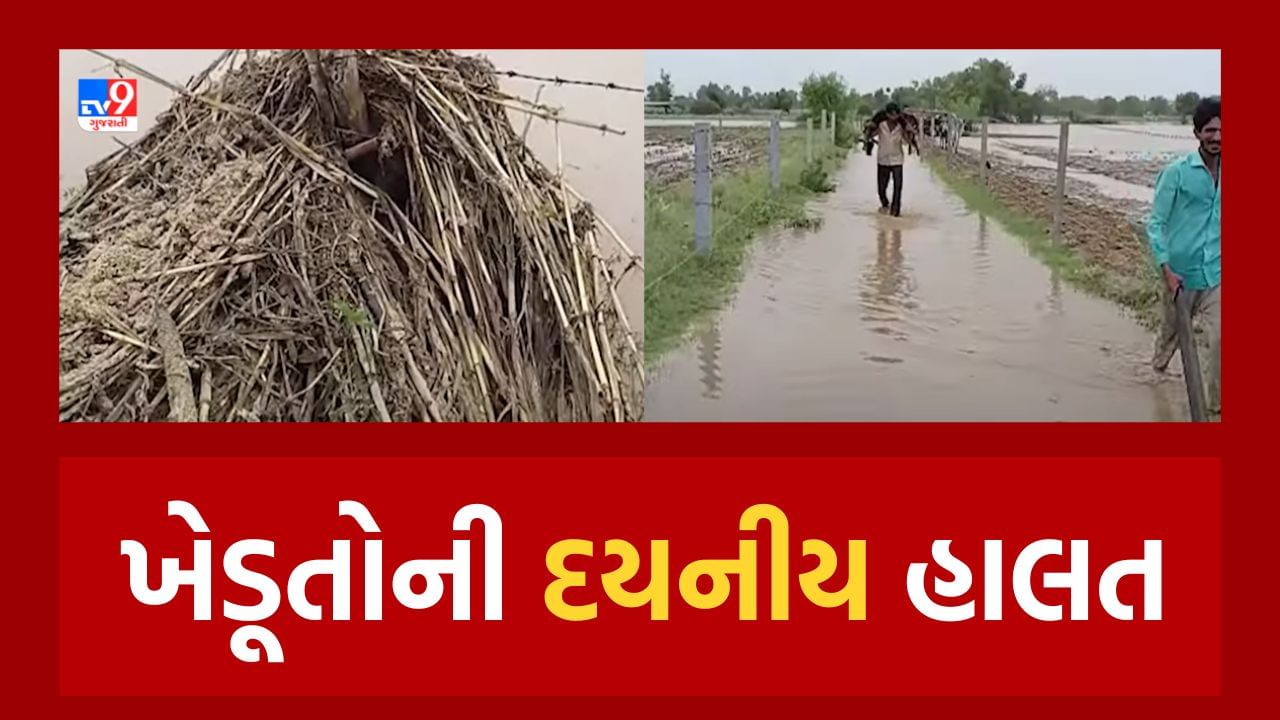 Banaskantha : ભારે વરસાદ વચ્ચે ડેમમાંથી પાણી છોડવાનું હોવાથી લોકોને કરાયા સાવચેત, જુઓ Video