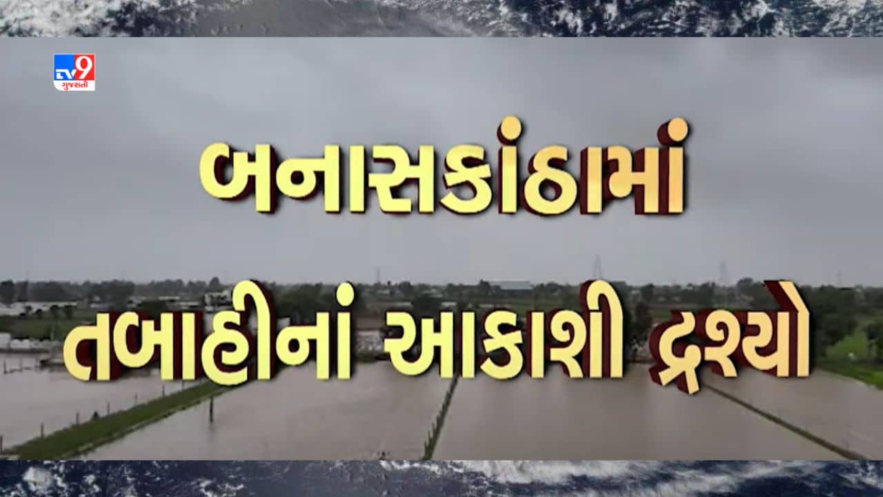 Banaskantha : થરાદ અને ધાનેરામાં જ્યાં જુઓ ત્યાં પાણી પાણી, વાવાઝોડા પછીની તબાહીનાં આકાશી દ્રશ્યો, જુઓ Video