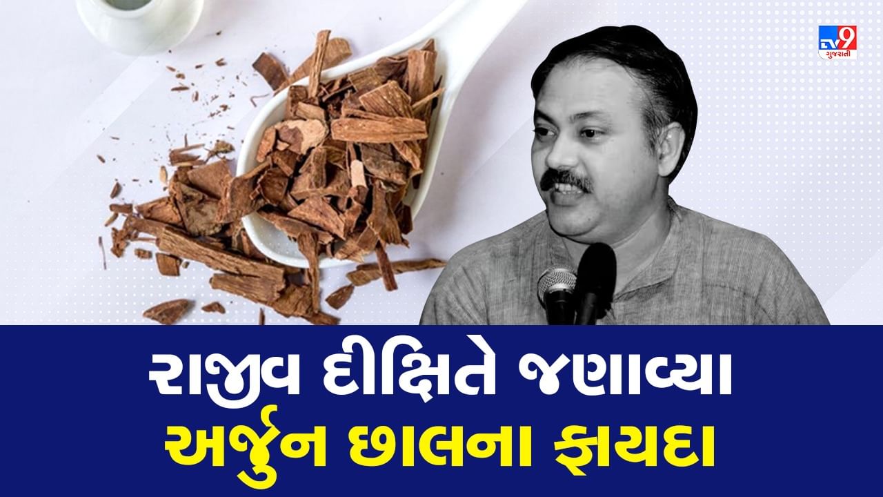 Rajiv Dixit Health Tips: લોહીમાં એસિડિટીના કારણે આવે છે હાર્ટ એટેક ! રાજીવ દીક્ષિતે જણાવ્યા અર્જુનની છાલના ફાયદા, જુઓ Video