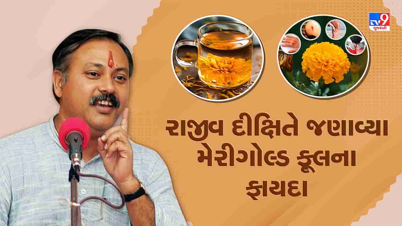 Rajiv Dixit Health Tips: ગમે તેવી ઈજાને મટાડે છે મેરીગોલ્ડ ફૂલ એટલે કે ગલગોટો, રાજીવ દીક્ષિતે જણાવ્યા અનેક ફાયદા, જુઓ Video