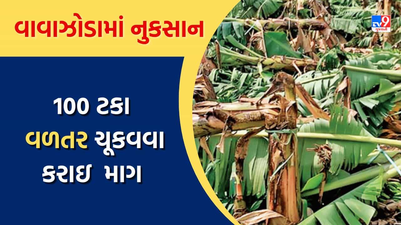 વાવાઝોડામાં ખેડૂતોને થયેલા નુકસાનનું 100 ટકા વળતર ચૂકવવા ભારતીય કિસાન સંઘની માગ, જુઓ Video