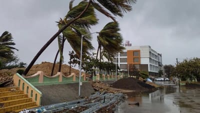 બિપરજોય વાવાઝોડું 15 જૂનના રોડ ગુજરાતના તટ પર ટકરાયું હતું. તેના કારણે ઘણી જગ્યા એ હોર્ડિંગ્સ તૂટયા અને ઝાડ ઉખડી ગયા હતા. પોરબંદરના આ દ્રશ્યમાં ઝાડ નમી ગયેલા જોવા મળી રહ્યા છે.