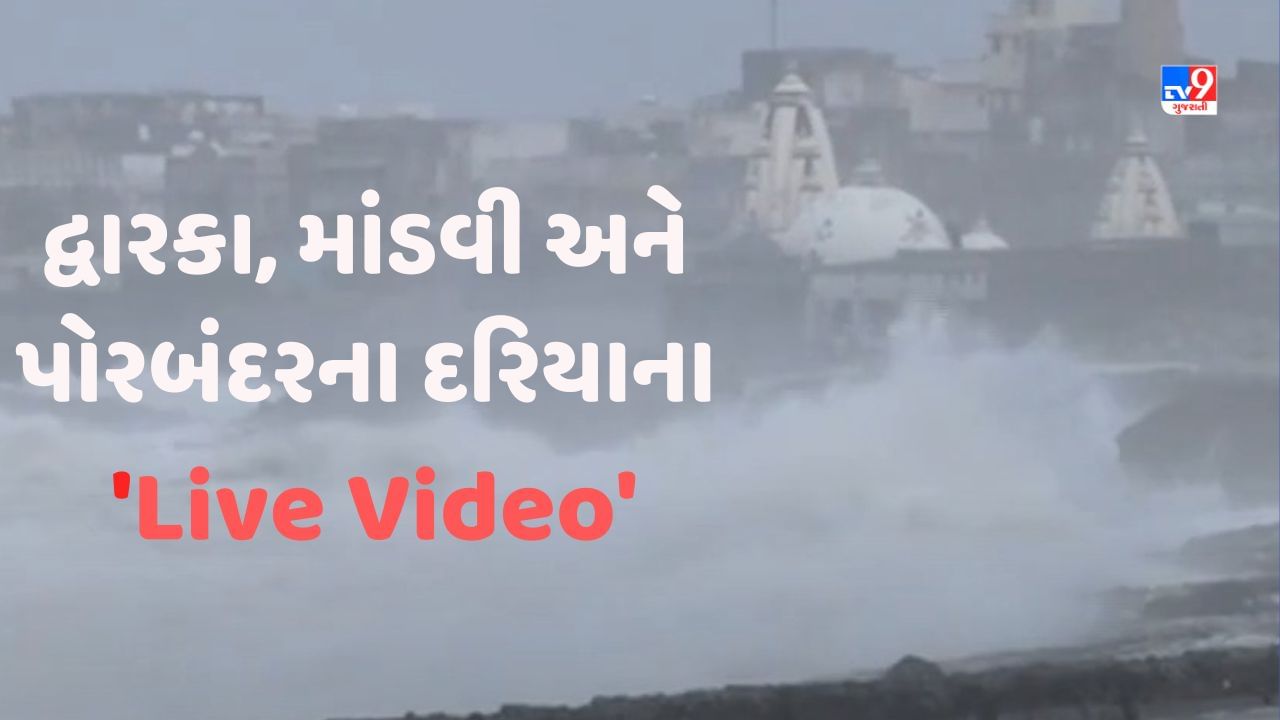 Biporjoy Cyclone Update: વાવાઝોડા પહેલા ભારે પવન સાથે વરસાદ, પોરબંદર, દ્વારકા અને માંડવીના દરિયાનો કરંટ વધ્યો, જુઓ Video