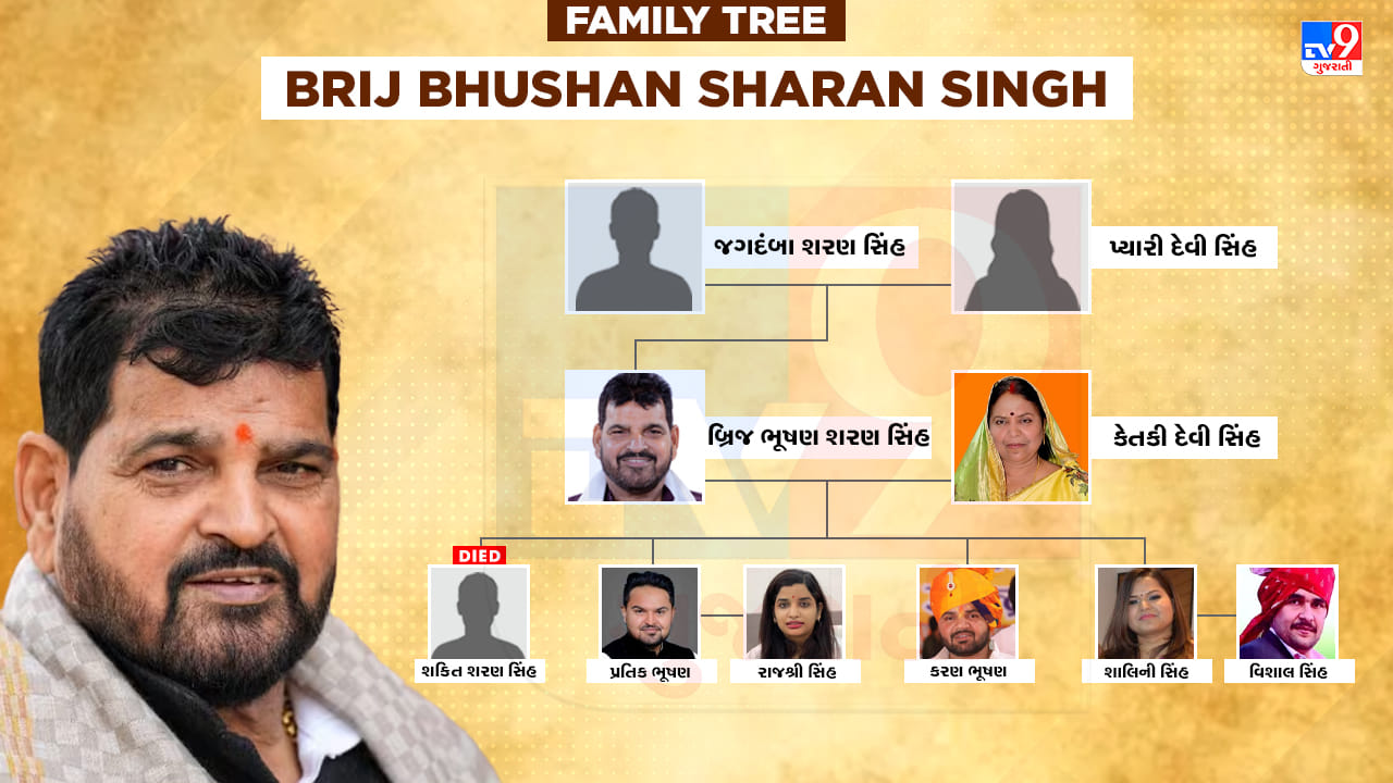 મહિલા કુસ્તીબાજોના જાતીય શોષણ કેસમાં બ્રિજભૂષણ સિંહ નિર્દોષ જાહેર, જુઓ પરિવારમાં કોણ કોણ છે