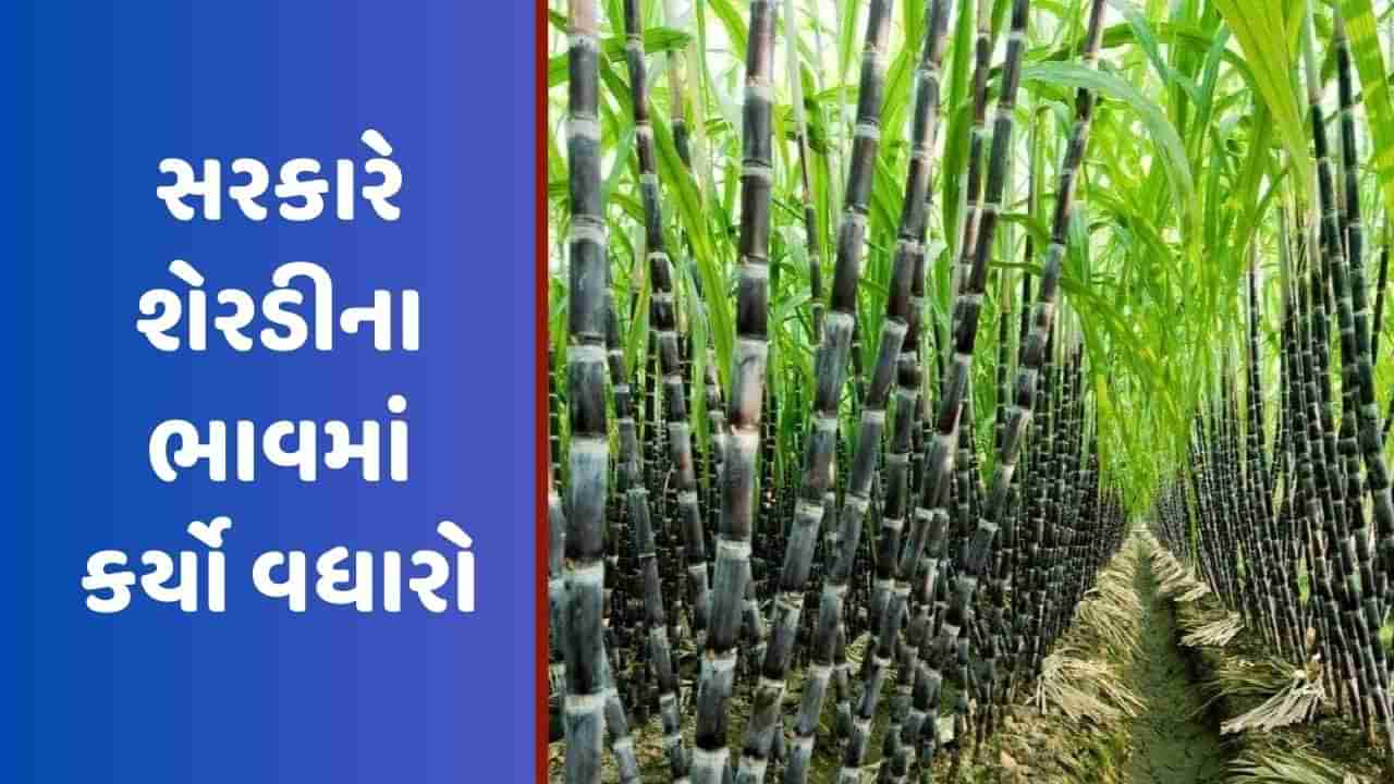 Sugarcane FRP: ખેડૂતો માટે સારા સમાચાર, મોદી સરકારે શેરડીના ભાવમાં કર્યો વધારો, લાખો ખેડૂતોને થશે ફાયદો