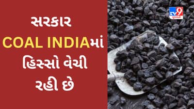 સરકાર 1 વર્ષમાં 16% રિટર્ન આપનાર કંપનીનો હિસ્સો વેચી રહી છે, સસ્તી કિંમતે શેર ખરીદવાની મળી રહી છે તક, વાંચો વિગતવાર માહિતી