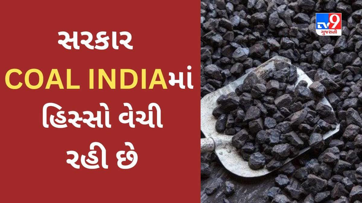 સરકાર 1 વર્ષમાં 16% રિટર્ન આપનાર કંપનીનો હિસ્સો વેચી રહી છે, સસ્તી કિંમતે શેર ખરીદવાની મળી રહી છે તક, વાંચો વિગતવાર માહિતી