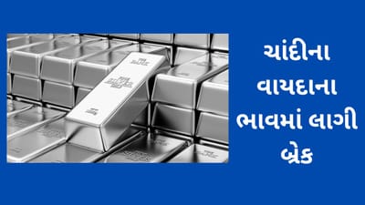 Commodity Market Today : સોનું થયું સસ્તુ, ચાંદીની કિંમતમાં નોંધાયો ઘટાડો, વાંચો શું રહ્યા વિવિધ ધાતુઓના ભાવ