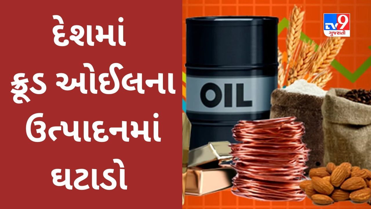 Commodity Market Today : દેશમાં ક્રૂડના ઉત્પાદનમાં ઘટાડો, આયાત ઘટાડવાના સરકારના પ્રયાસ સામે નકારાત્મક અહેવાલ