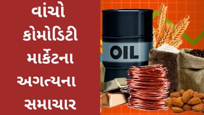 Commodity Market Today : કુકિંગ ઓઇલસસ્તું થયું, કિંમતી ધાતુઓમાં જોવા મળી તેજી, કરો એક નજર કોમોડિટીની અપડેટ્સ ઉપર