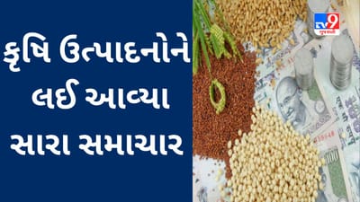 Commodity Market Today : કરો એક નજર કોમોડિટી માર્કેટના મુખ્ય સમાચારો ઉપર