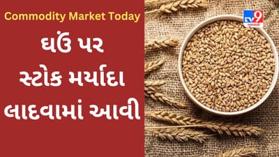 Commodity Market Today : 15 વર્ષમાં પ્રથમ વખત સરકારે ઘઉં પર સ્ટોક લિમિટ લાગુ કરી, 31 માર્ચ 2024 સુધી આદેશનું પાલન કરવું પડશે