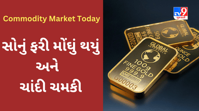 Commodity Market Today : કોમોડિટી માર્કેટમાં ટ્રેડિંગ પહેલા આ માહિતી તમારા ધ્યાનમાં રાખો, જાણો છેલ્લા સત્રમાં કેવો રહ્યો કારોબાર