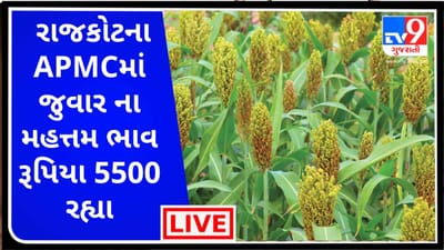 Mandi : રાજકોટના APMCમાં જુવાર ના મહત્તમ ભાવ રૂપિયા 5500 રહ્યા, જાણો જુદા-જુદા પાકના ભાવ Mandi : રાજકોટના APMCમાં જુવાર ના મહત્તમ ભાવ રૂપિયા 5500 રહ્યા, જાણો જુદા-જુદા પાકના ભાવ