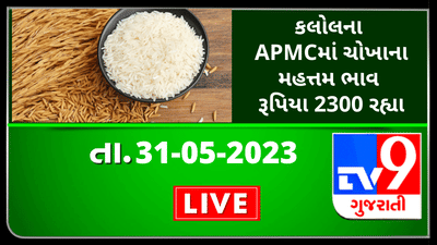 Mandi : કલોલના APMCમાં ચોખાના મહત્તમ ભાવ રૂપિયા 2300 રહ્યા, જાણો જુદા-જુદા પાકના ભાવ