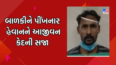 Navsari: 12 વર્ષની બાળકીને પીંખી નાખનાર હેવાનને કોર્ટે આજીવન કેદની સજા ફટકારી, જુઓ Video Navsari: 12 વર્ષની બાળકીને પીંખી નાખનાર હેવાનને કોર્ટે આજીવન કેદની સજા ફટકારી, જુઓ Video