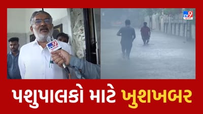 Jamnagar : કેબિનેટ મંત્રી મૂળુ બેરાની પશુપાલકો માટે મોટી જાહેરાત, જુઓ Video