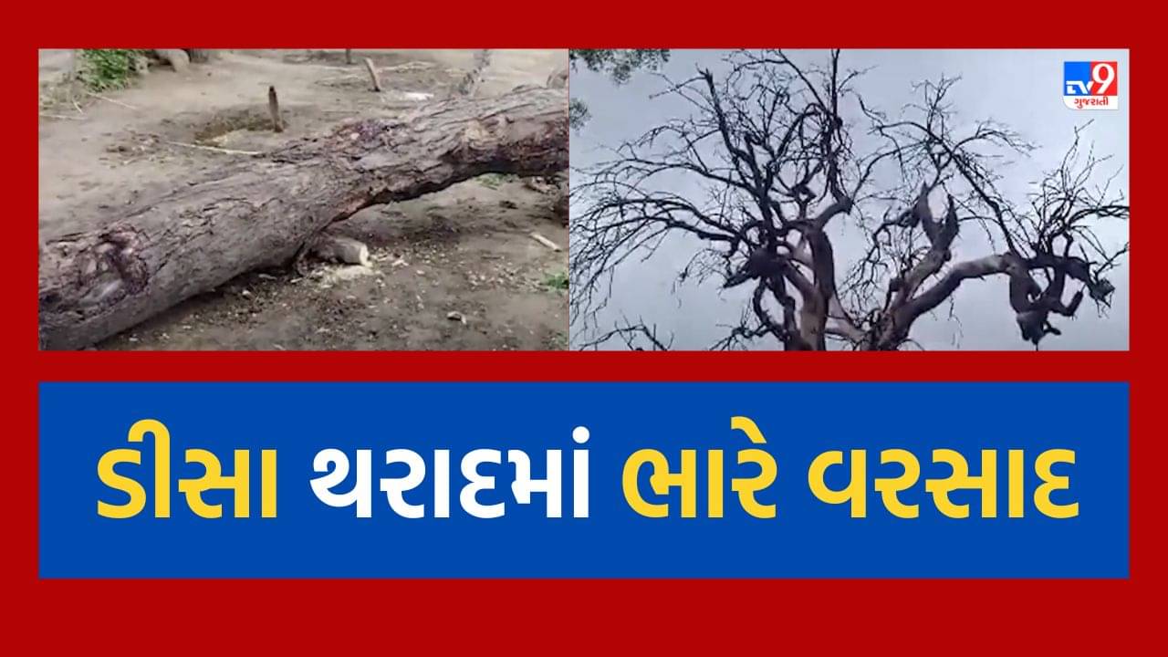 Cyclone Biporjoy : ડીસા, થરાદમાં પડયો 4 ઇંચ વરસાદ, ઘર પરના પતરા ઉડી ગયા, જુઓ Video