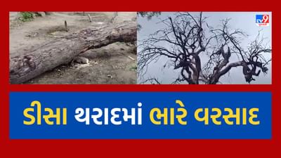 Cyclone Biporjoy : ડીસા, થરાદમાં પડયો 4 ઇંચ વરસાદ, ઘર પરના પતરા ઉડી ગયા, જુઓ Video Cyclone Biporjoy : ડીસા, થરાદમાં પડયો 4 ઇંચ વરસાદ, ઘર પરના પતરા ઉડી ગયા, જુઓ Video