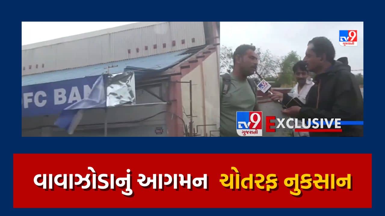 Cyclone Biporjoy: મીઠાપુરમાં વાવાઝોડાના કારણે ભારે પવન, અનેક વૃક્ષો ધરાશાયી, જુઓ Video