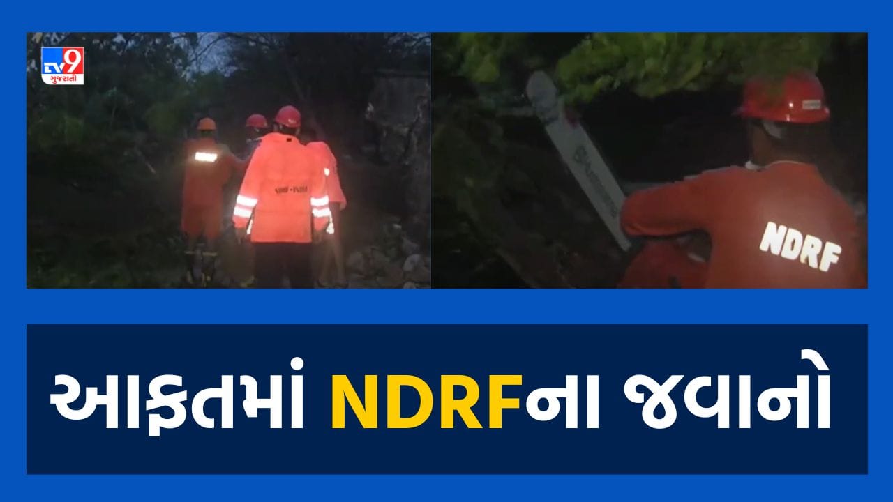 Cyclone Biporjoy: દ્વારકામાં મીઠાપુરમાં ભારે પવન ફૂંકાતા વૃક્ષો ધરાશાયી, તૂટી પડેલા વૃક્ષો હટાવવા NDRF કામે લાગી Cyclone Biporjoy: દ્વારકામાં મીઠાપુરમાં ભારે પવન ફૂંકાતા વૃક્ષો ધરાશાયી, તૂટી પડેલા વૃક્ષો હટાવવા NDRF કામે લાગી