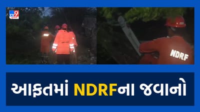 Cyclone Biporjoy: દ્વારકામાં મીઠાપુરમાં ભારે પવન ફૂંકાતા વૃક્ષો ધરાશાયી, તૂટી પડેલા વૃક્ષો હટાવવા NDRF કામે લાગી