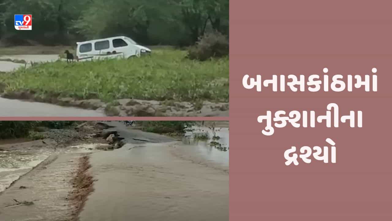 Gujarat Video:ધાનેરામાં વરસાદ બાદ નુક્શાનીના દ્રશ્યો, અધિકારીઓ અસરગ્રસ્ત વિસ્તારમાં પહોચ્યા