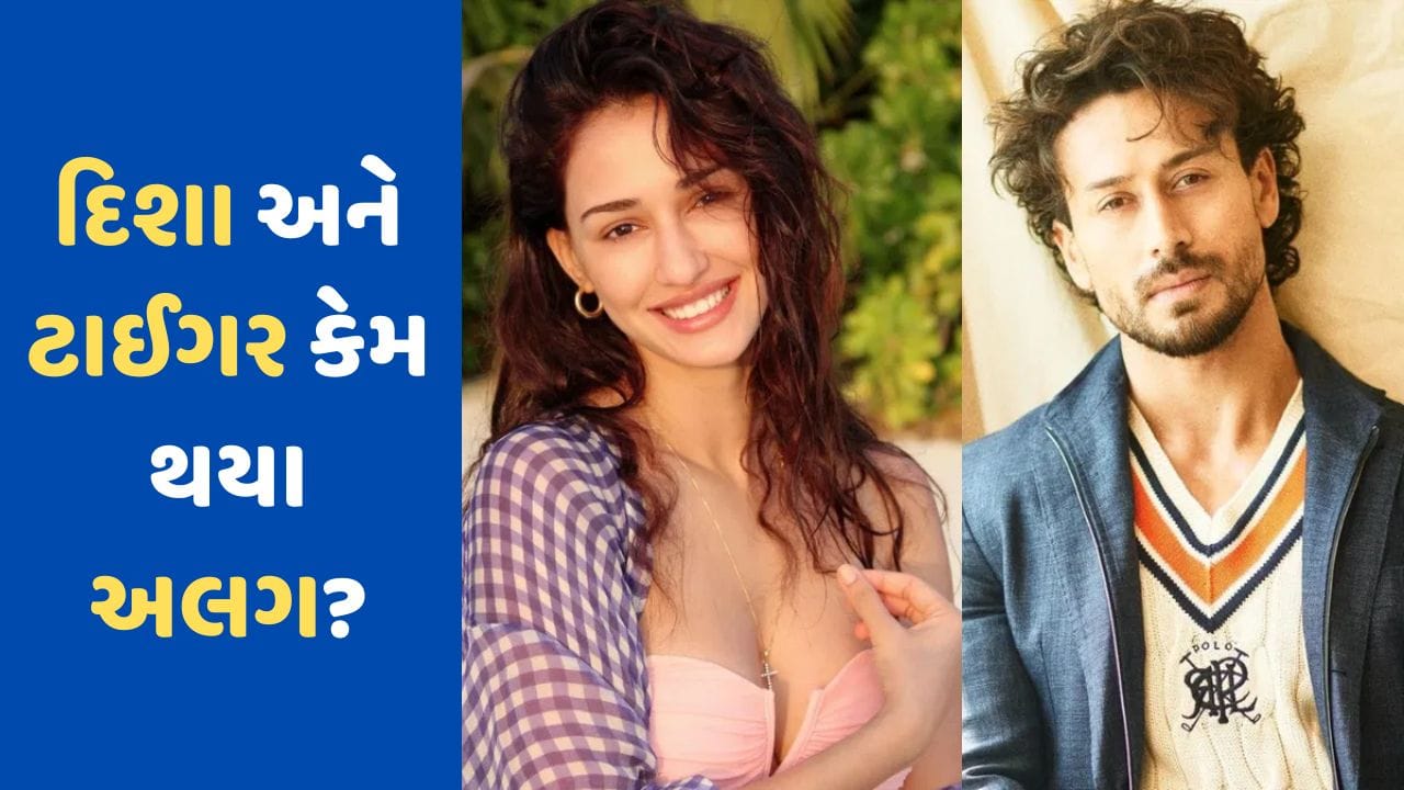 Happy Birthday Disha Patani: ટાઈગરના પ્રેમમાં પાગલ હતી દિશા પટની, તો ...