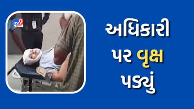 Dahod : છાપરી પંચાયતના બે અધિકારી પર પડ્યું વૃક્ષ, સારવાર માટે હોસ્પિટલમાં ખસેડાયા, જુઓ Video