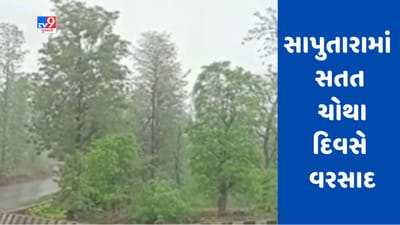Gujarati Video : સાપુતારામાં સતત ચોથા દિવસે પણ વરસાદ વરસ્યો Gujarati Video : સાપુતારામાં સતત ચોથા દિવસે પણ વરસાદ વરસ્યો