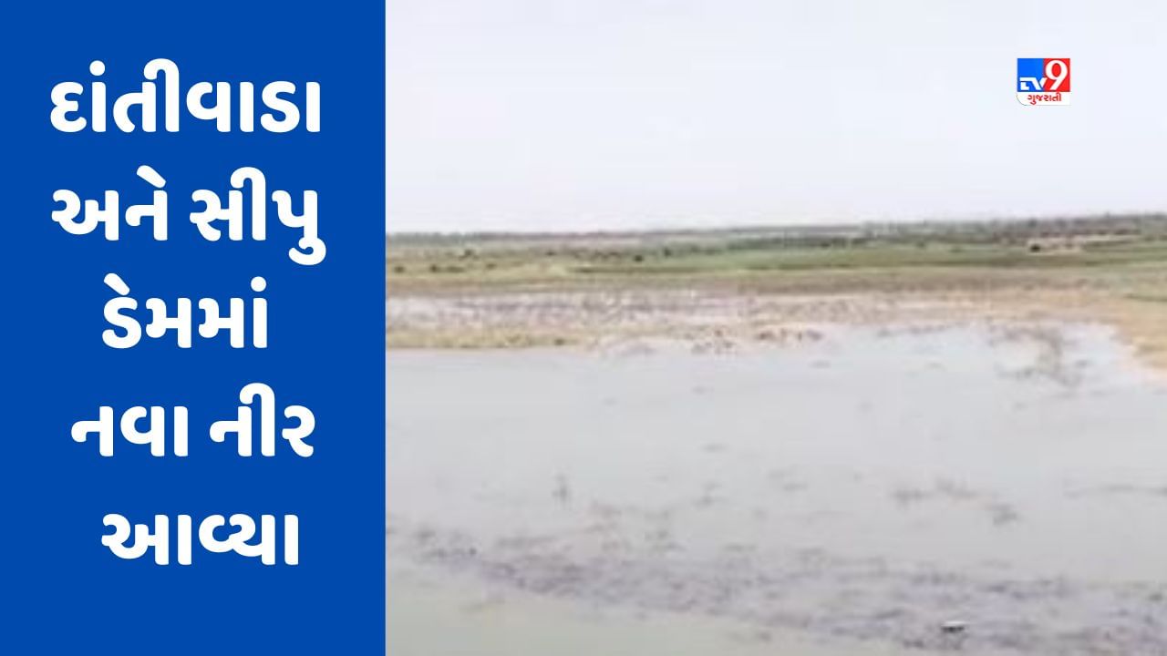 Gujarati Video બનાસકાંઠાના દાંતીવાડા અને સીપુ ડેમમાં નવા નીર આવ્યા