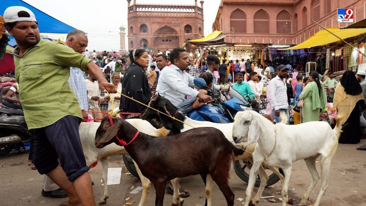બકરી ઈદ એટલે બલિદાનનો દિવસ. ઈસ્લામમાં આ દિવસે આપવામાં આવતી કુરબાનીને બલિદાનનું પ્રતિક માનવામાં આવે છે.
