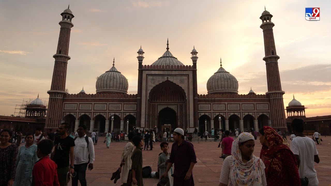 મીના બજારમાં બકરીઓની એકથી વધુ જાતિ જોવા મળી હતી. નજીકના અન્ય રાજ્યોના લોકો પણ અહીં ખરીદી કરવા પહોંચે છે.
