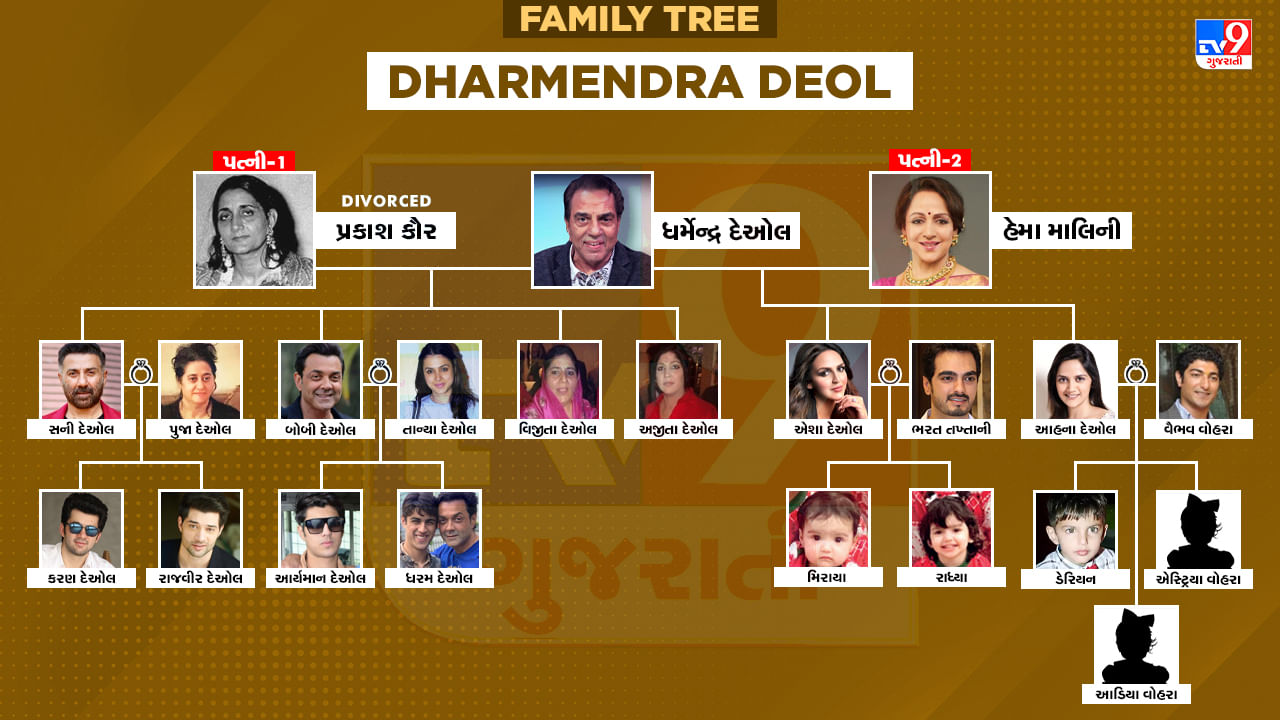 Dharmendra Deol Family Tree : ચુન ચુન કે બદલા લુંગાથી કમીને તેરા ખુન પી જાઉંગા સુધીના ડાયલોગ આજે પણ ચાહકોને પસંદ છે, જાણો બોલીવુડના 'હીમેન' ધર્મેન્દ્રના પરિવાર વિશે