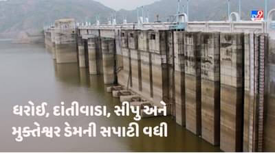 North Gujarat: ધરોઈ ડેમમાં પાણીની આવકમાં વધારો નોંધાયો, ઉત્તર ગુજરાતના જળાશયોમાં જળસ્તરમાં વધારો