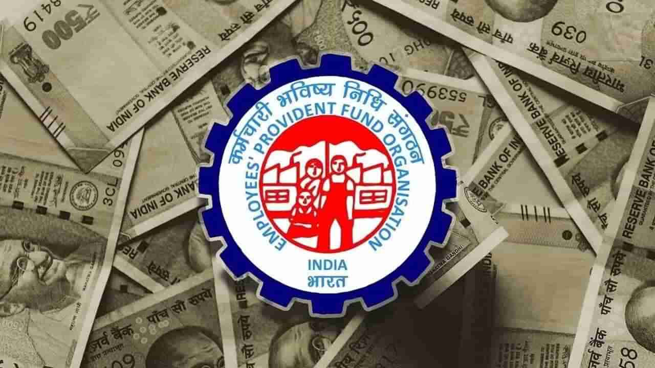 EPFO : 1 વર્ષમાં 10% રિટર્ન આપનાર શેરબજારમાં તમારા PF ના પૈસાનું વધુ રોકાણ કરાશે, નાણા મંત્રાલય મહત્વનો નિર્ણય લઈ શકે છે