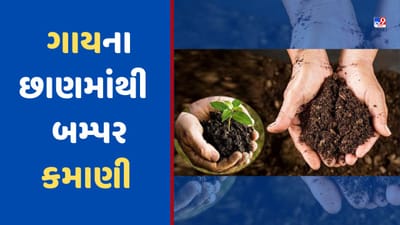 Success Story: 'જૈવિક મેન' તરીકે ઓળખાય છે આ પ્રગતિશીલ ખેડૂત, આ રીતે ગાયના છાણમાંથી કરે છે બંપર કમાણી