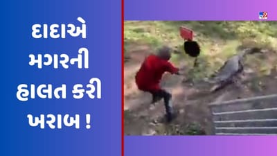 દાદાએ મગરની હાલત કરી ખરાબ! 'ફ્રાય પેન'થી મગરની કરી દીધી પીટાઈ, જુઓ Video