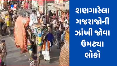 Rath yatra 2023 : ભગવાન જગન્નાથજીની 146મી રથયાત્રા પ્રસંગે ગજરાજોનો જોવા મળ્યો દબદબો, શણગારેલા ગજરાજોની ઝાંખી જોવા ઉમટ્યા લોકો, જુઓ Video