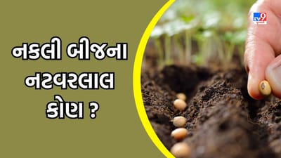 Gujarati Video : નકલી બીજના નટવરલાલ કોણ ? ખેતીને નુકસાન, ખેડૂતોને ફટકો !