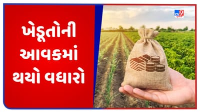 Success Story: આ ટેકનીકથી ખેતી કરી અનેક ગામના મજૂરો બન્યા ખેડૂત, લાખો રૂપિયાની કરી કમાણી