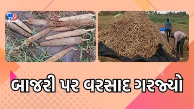 Banaskantha: સરહદી વિસ્તારોમાં કમોસમીનો કેર, બાજરીના પાકને નુકશાન, જુઓ Video