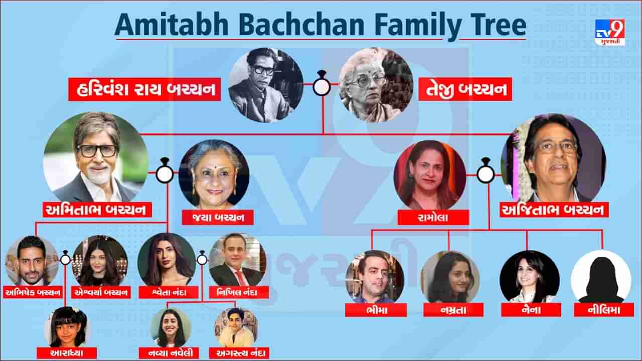 Amitabh Bachchan Family Tree: અમિતાભ પરિવારના આ લોકોને તમે ઓળખતા નહિ હોય, અહીં જુઓ બચ્ચનનો આખો પરિવાર